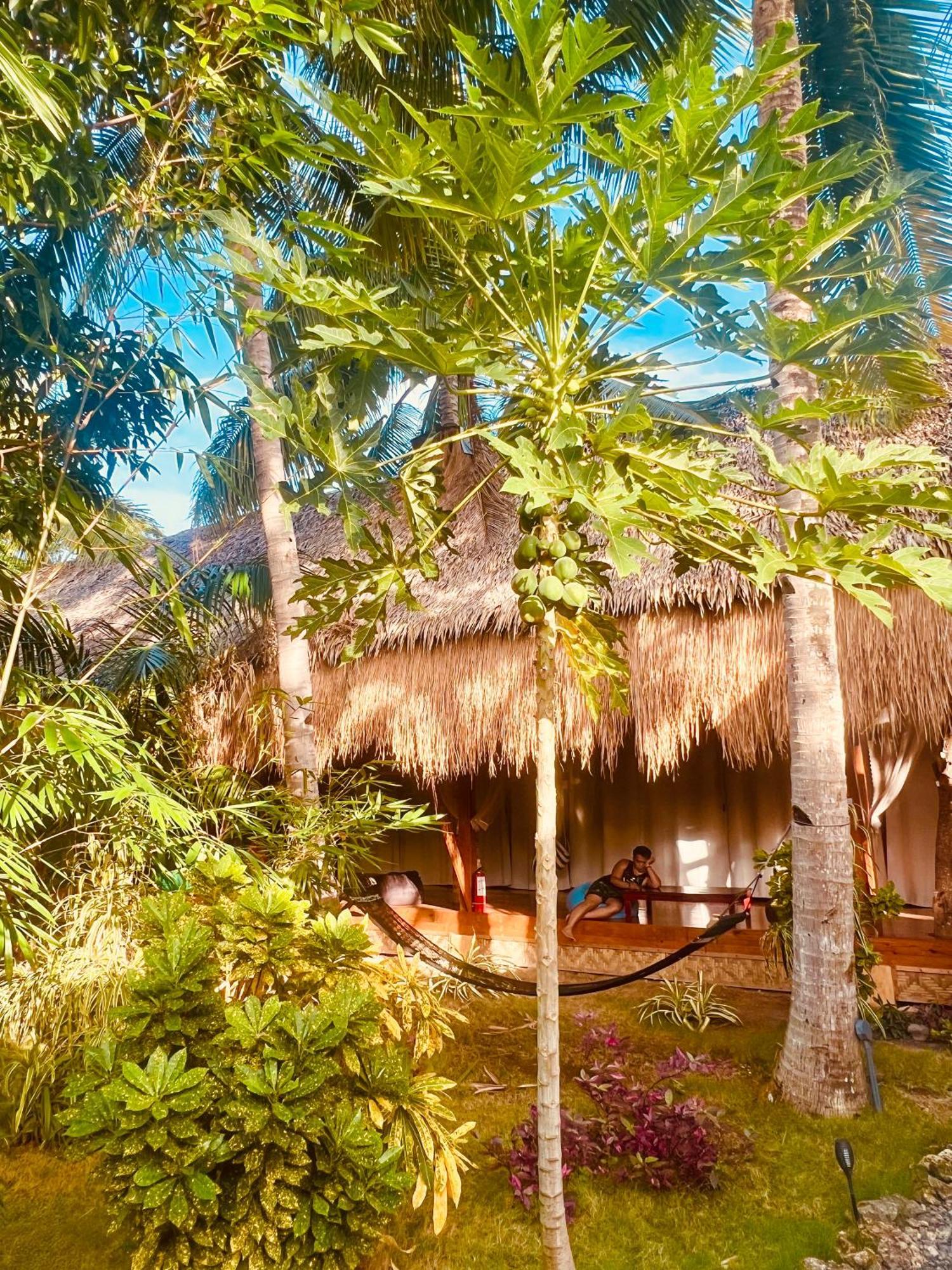 Nautilus Hostel & Hammocks Panglao City Exterior foto