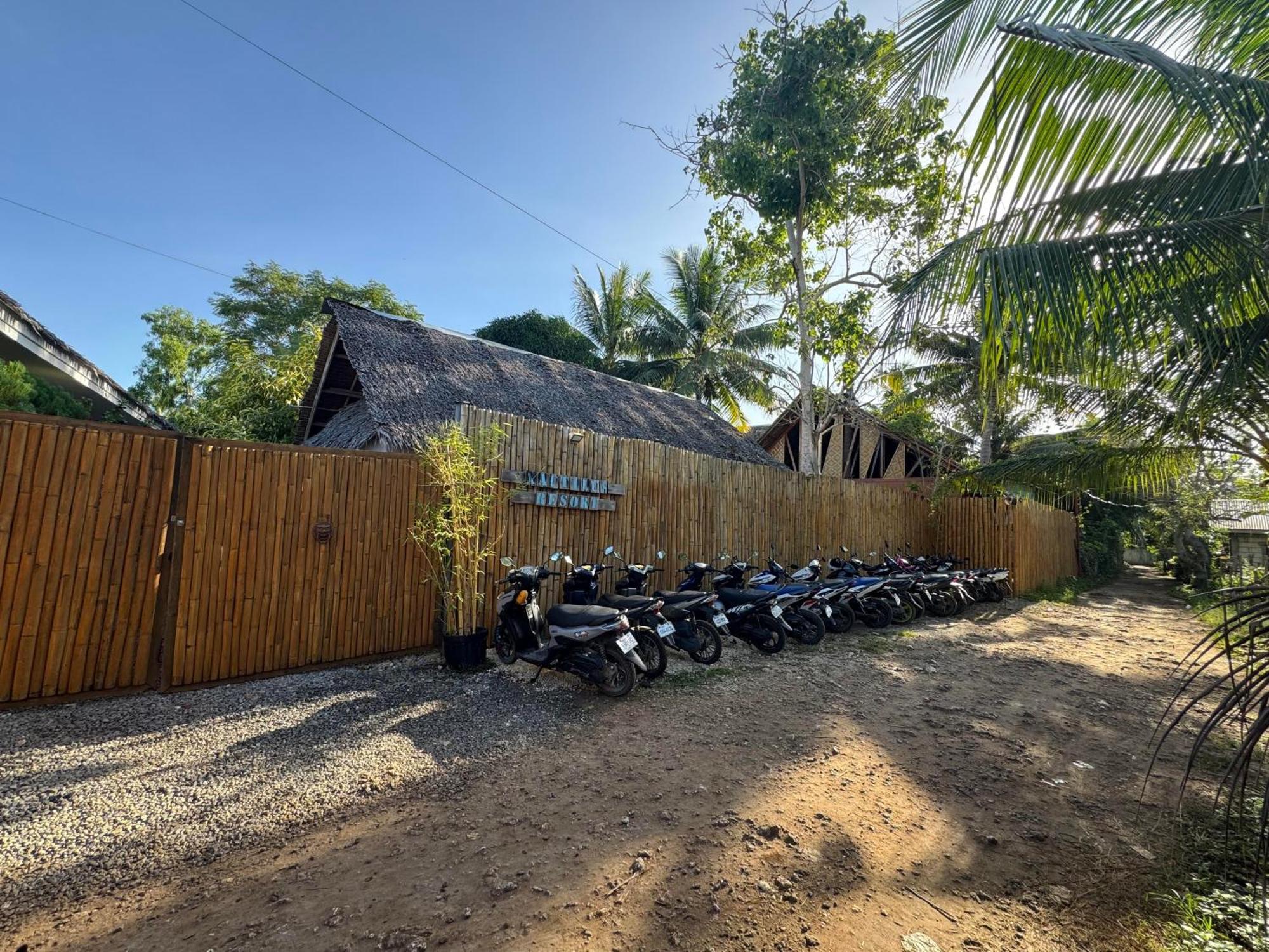 Nautilus Hostel & Hammocks Panglao City Exterior foto